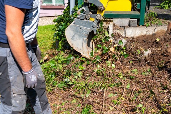 Cost of Hedge Removal Service in Sacramento