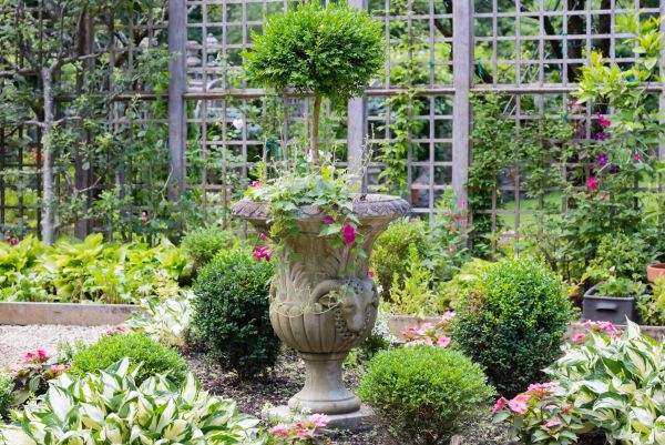 Cost of Topiary Pruning in Sacramento