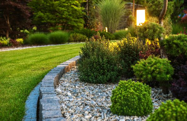 Cost of Bush Relocation in Sacramento