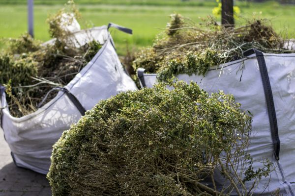 Cost of Shrubs Removal in Sacramento