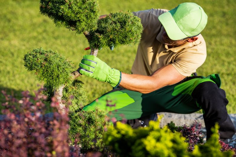 Freshly Trimmed Shrubs